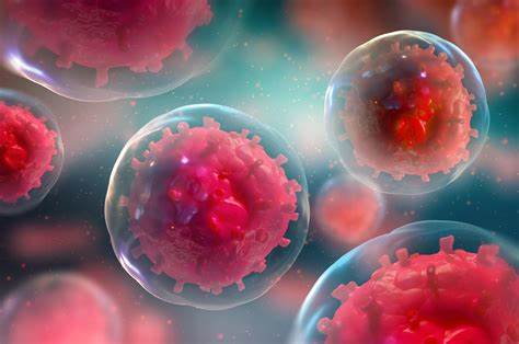 Stem Cells From Fat - The Key Factors To Consider Before Using This Procedure